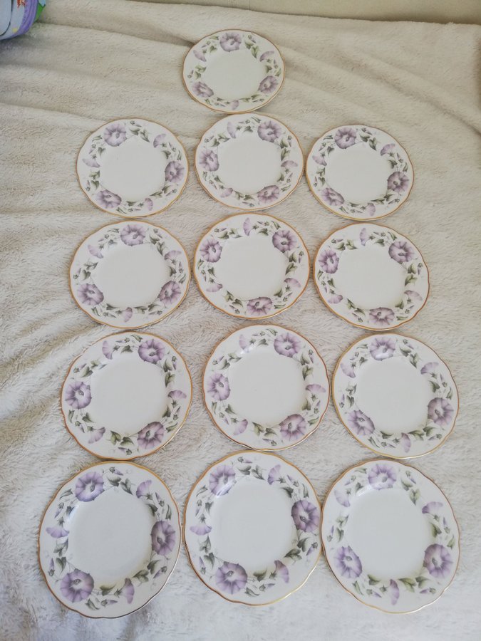 13 ST DUCHESS BONE CHINA ENGLAND 327:MORNING GLORY D 16:5CM