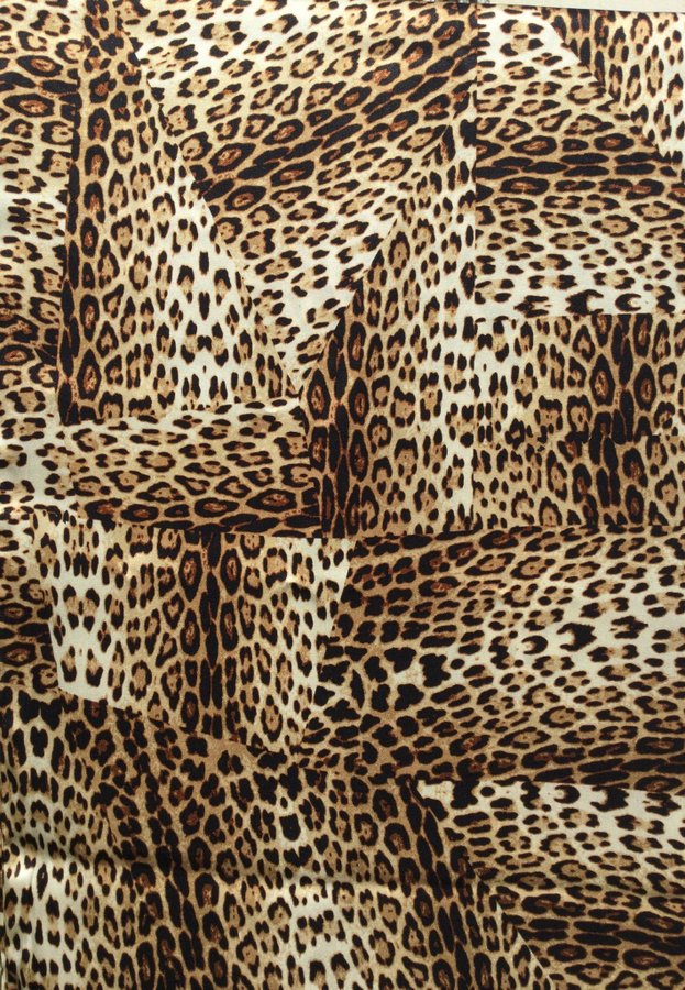 HELT NY! Roberto Cavalli x HM Leopard Mönstrad Unisex Scarf Sjal i 100% Siden