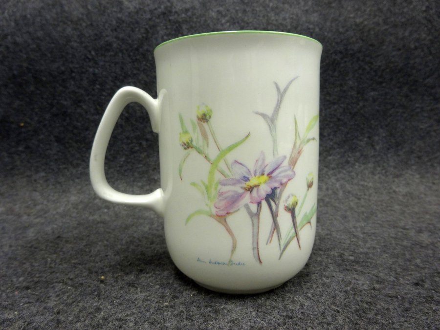 Mugg Rose of England Bone China England