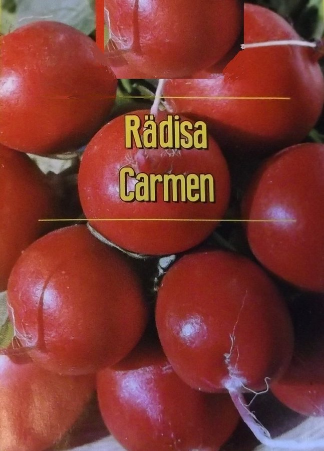 Rädisa Carmen Ljusröd Röd 10 frön