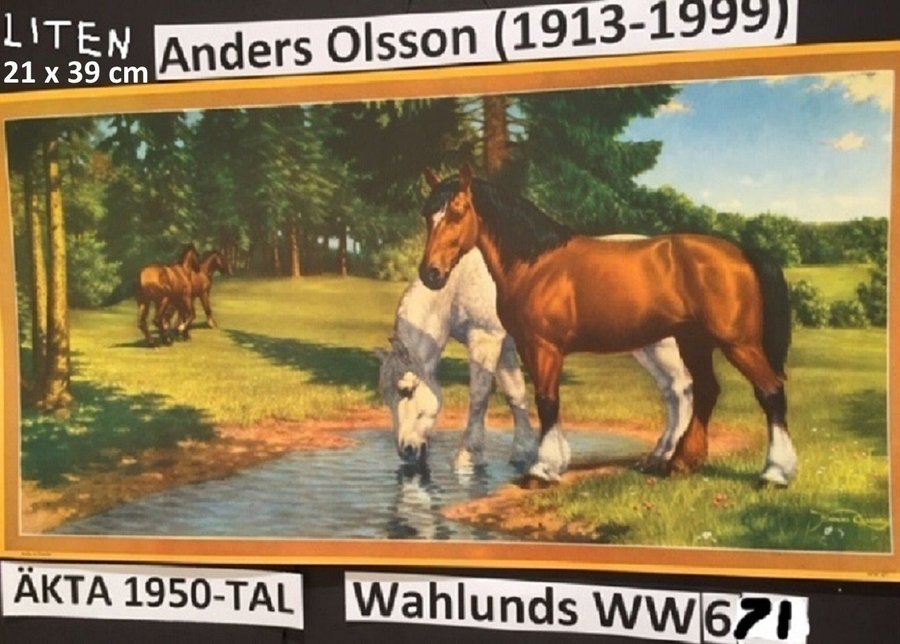 Anders Olsson: Vit häst dricker ORIGINALUPPLAGA 1950-tal Pappersbonad 21x39c