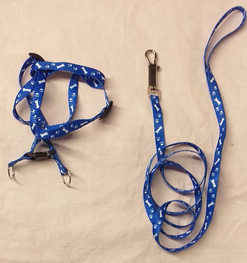 *NY Koppel  halsband - Sele lilla hund eller katt Fint mönster Blått REA
