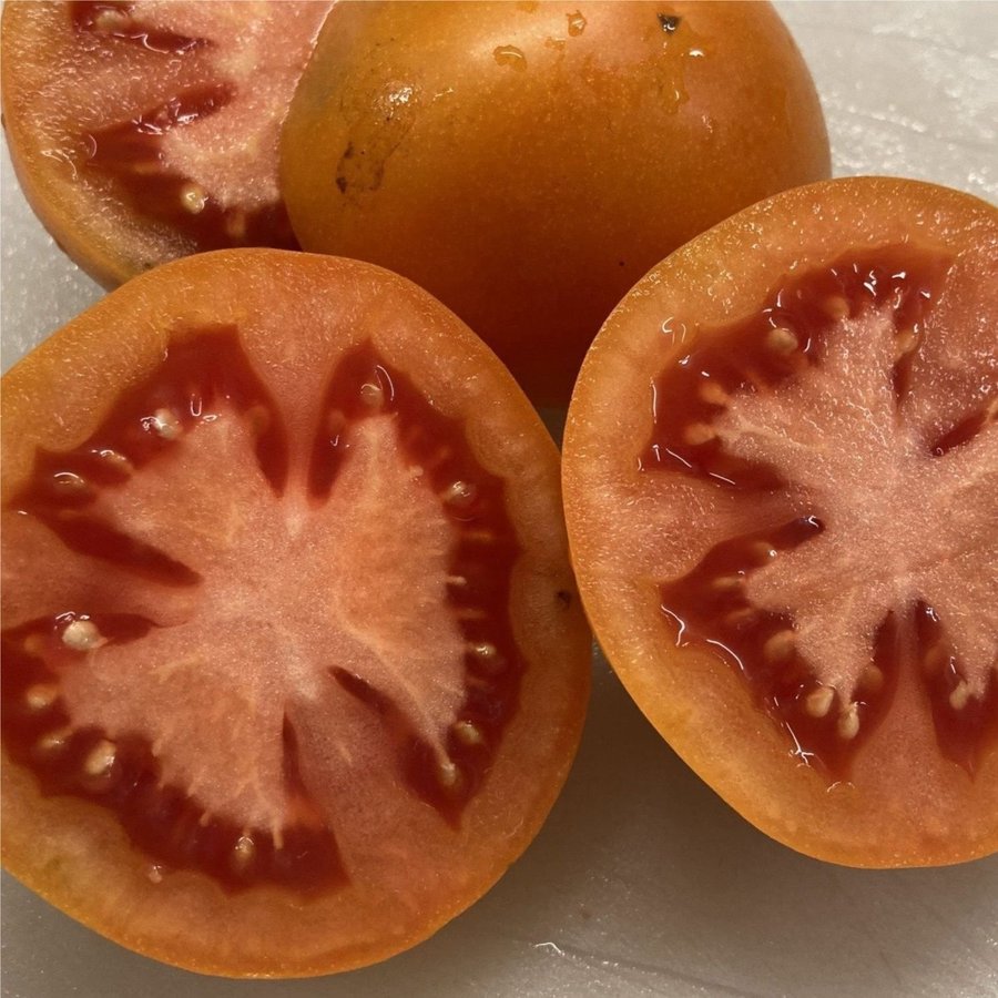 Zlatava 6 frön Normalstor saftig djuporange tomat från Ukraina