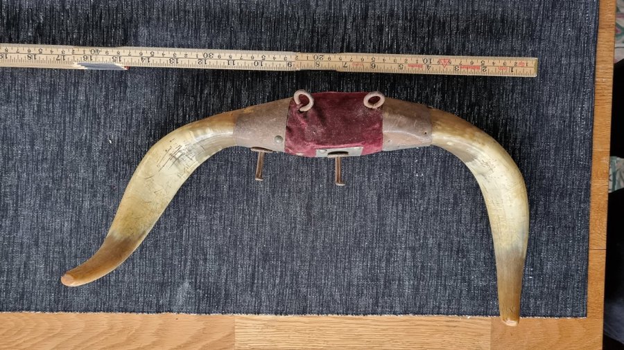 Hängare horn vikingar