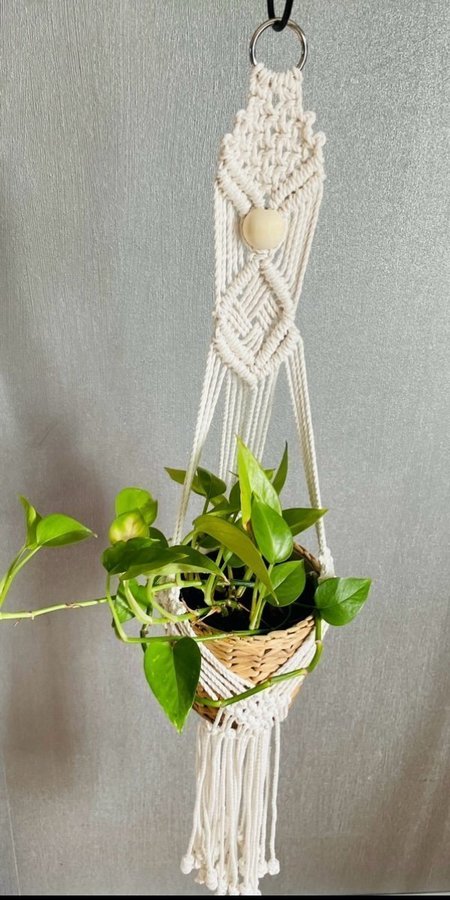 Ampel i makramé /plant hanger