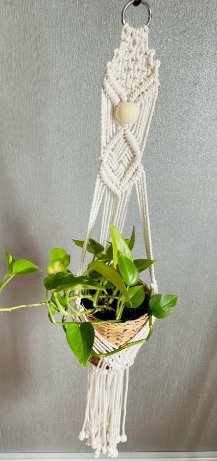 Ampel i makramé /plant hanger