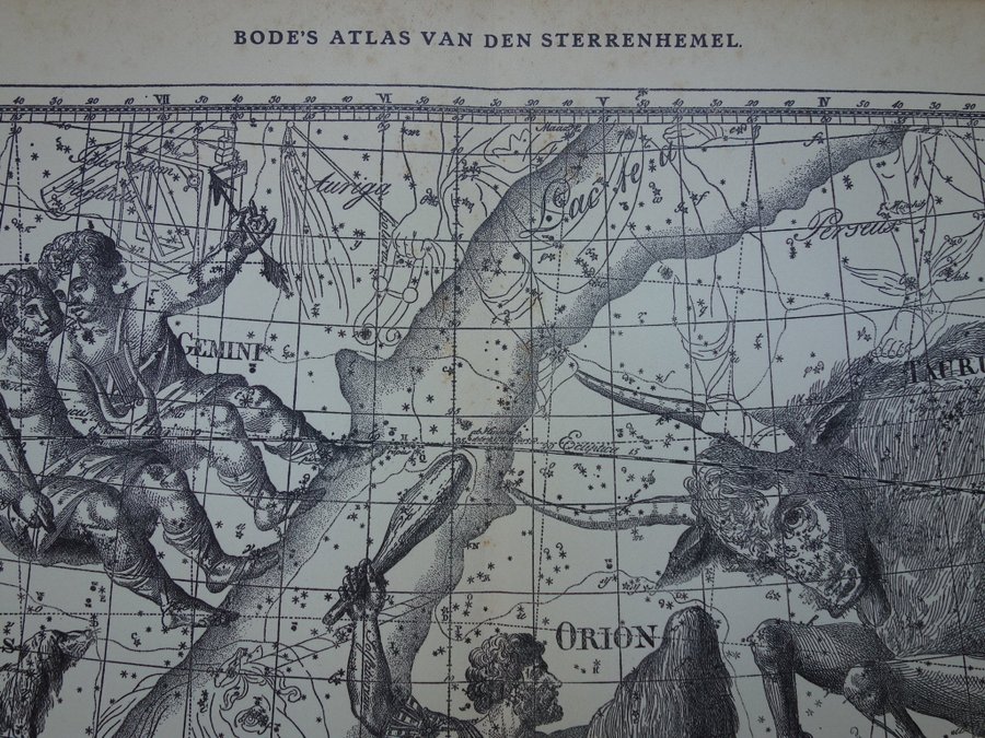 ASTROLOGI Vintage antik tryck print gammal stjärntecken gemini tvillingar oxen