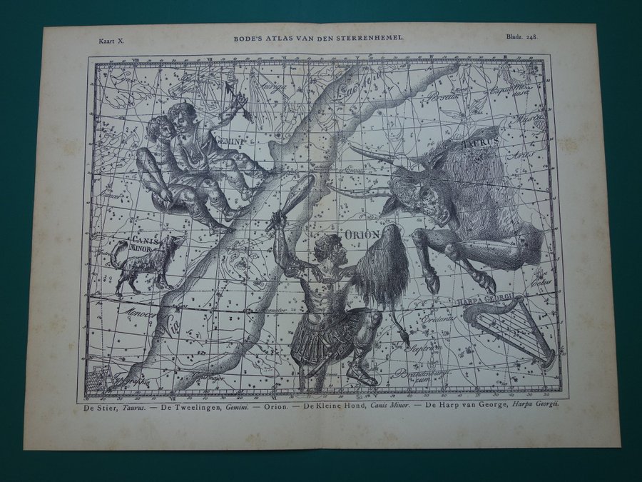 ASTROLOGI Vintage antik tryck print gammal stjärntecken gemini tvillingar oxen