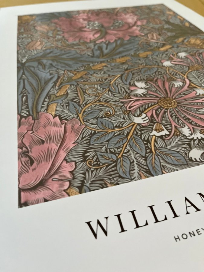 Poster A3 William Morris ”Honeysuckle and Tulip”