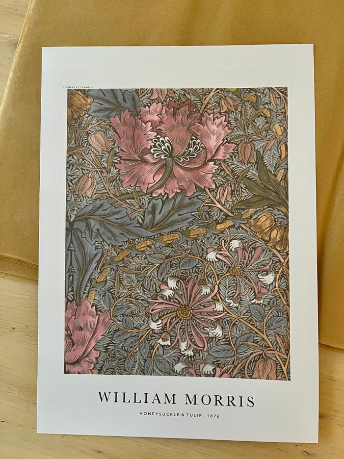 Poster A3 William Morris ”Honeysuckle and Tulip”