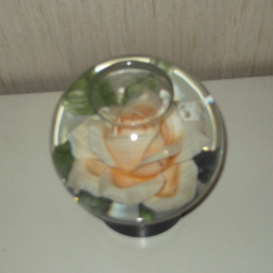 Rosengömma Glaskupa 70-tal Ros i Vatten Unik Orange Blomma Vintage Glas glob Fin