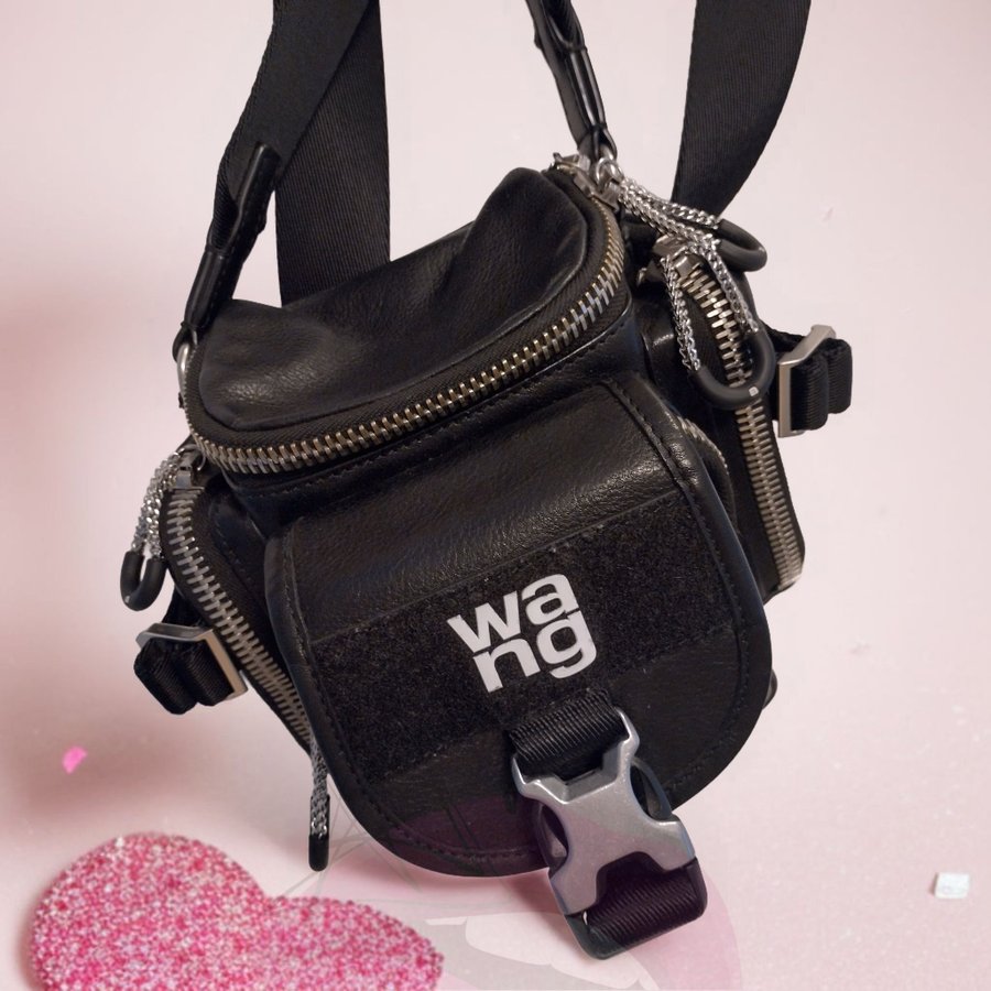 Alexander Wang _ Crossbody _ Surplus Camera Bag