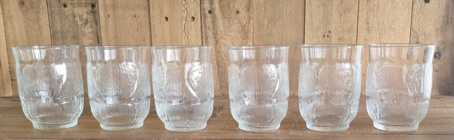 Arcoroc fleur 6 st vintage drinkglas saftglas whiskyglas glas