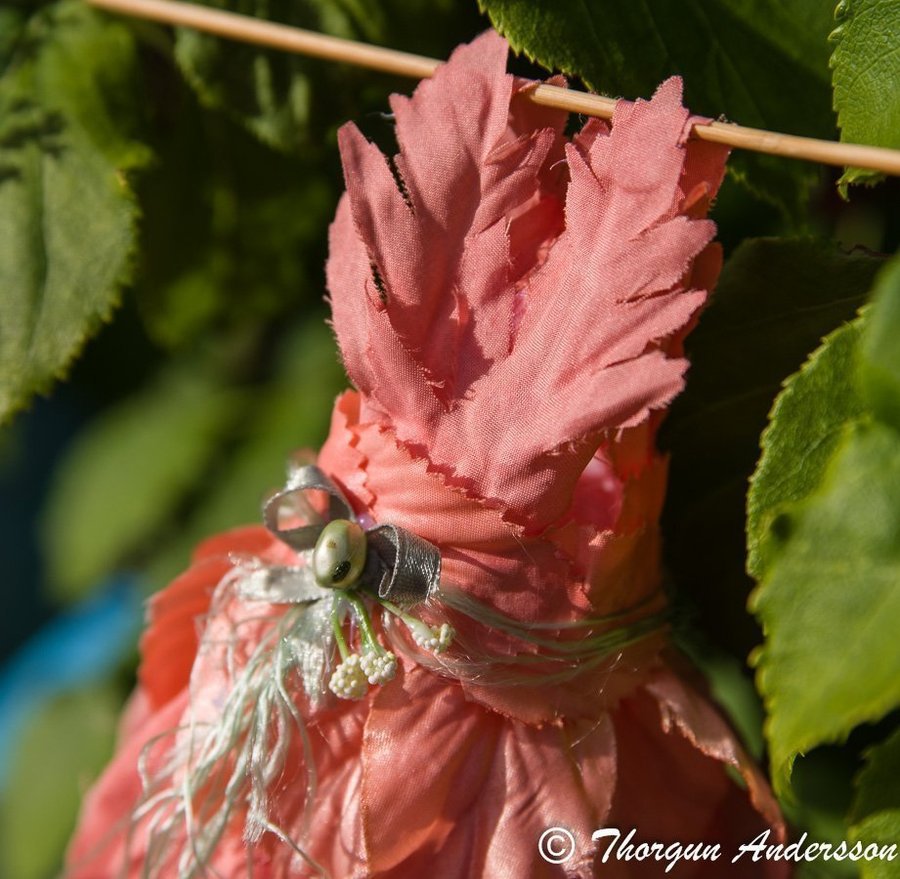 1 Fairy-dress Aprikosa blomblad blomster-klänning Fairy-garden Älvor miniatyrer
