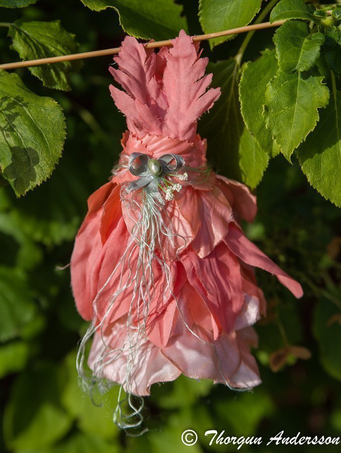1 Fairy-dress Aprikosa blomblad blomster-klänning Fairy-garden Älvor miniatyrer