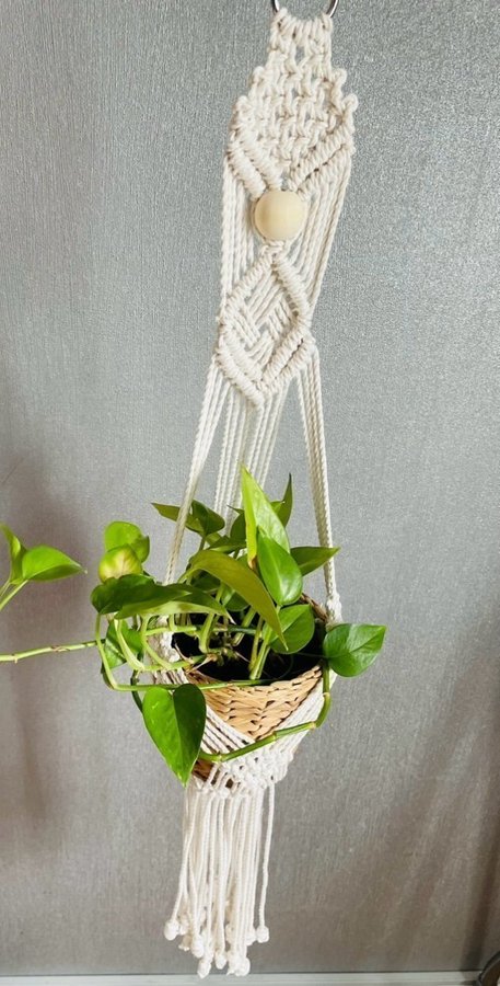 Ampel i makramé /plant hanger