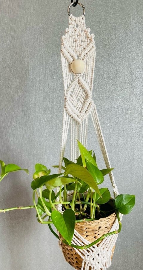 Ampel i makramé /plant hanger