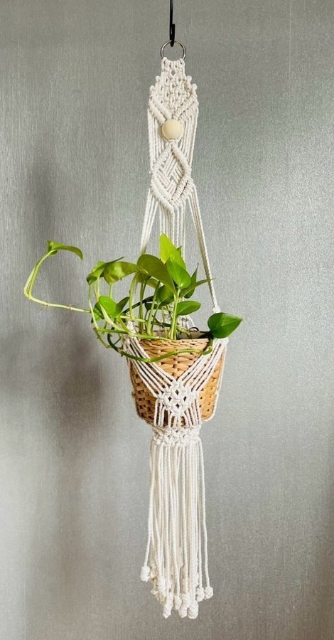 Ampel i makramé /plant hanger