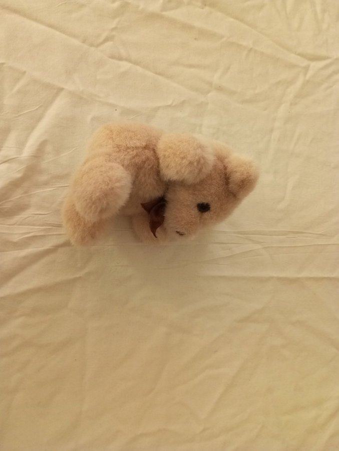 Teddybjörn  Nallebjörn Nalle Björn mjukdjur kramdjur plush teddy bear