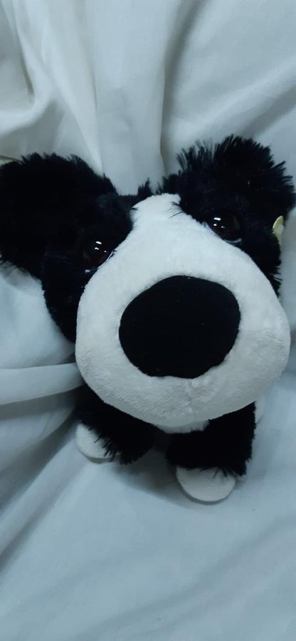 Big Headz Hund  Dog TCC Global kramdjur mjukdjur plush doll getter