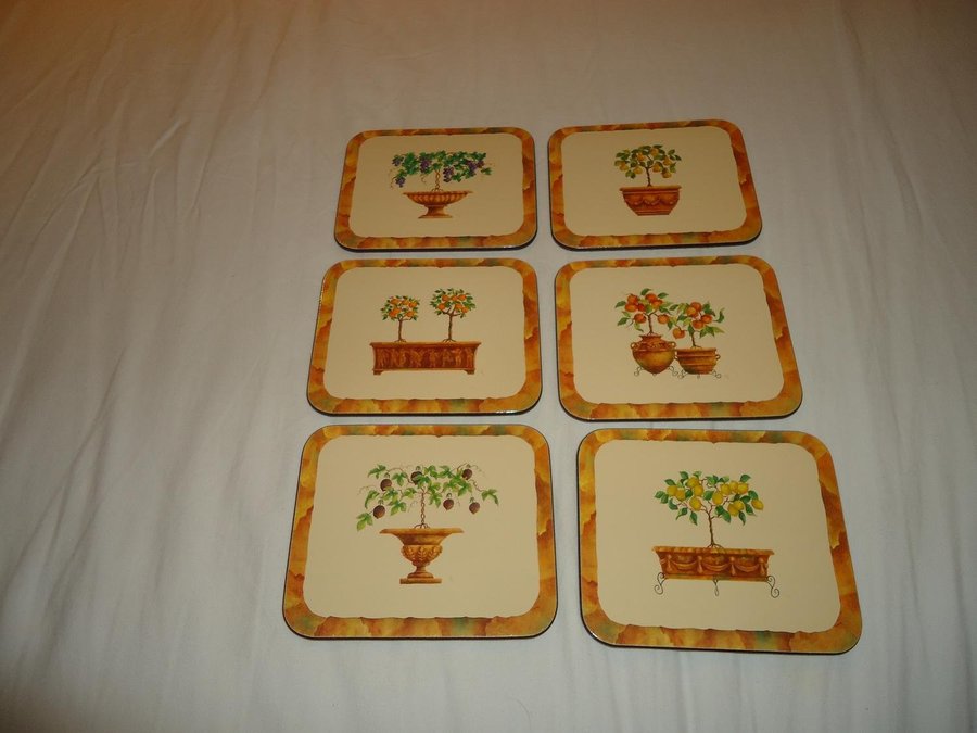 Jason Coasters New Zealand 6 st underlägg art no D2161 design Wendy Wooden