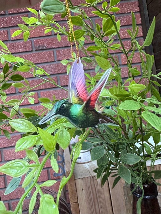 6stycke underbara fåglar kolibri hem o trädgården