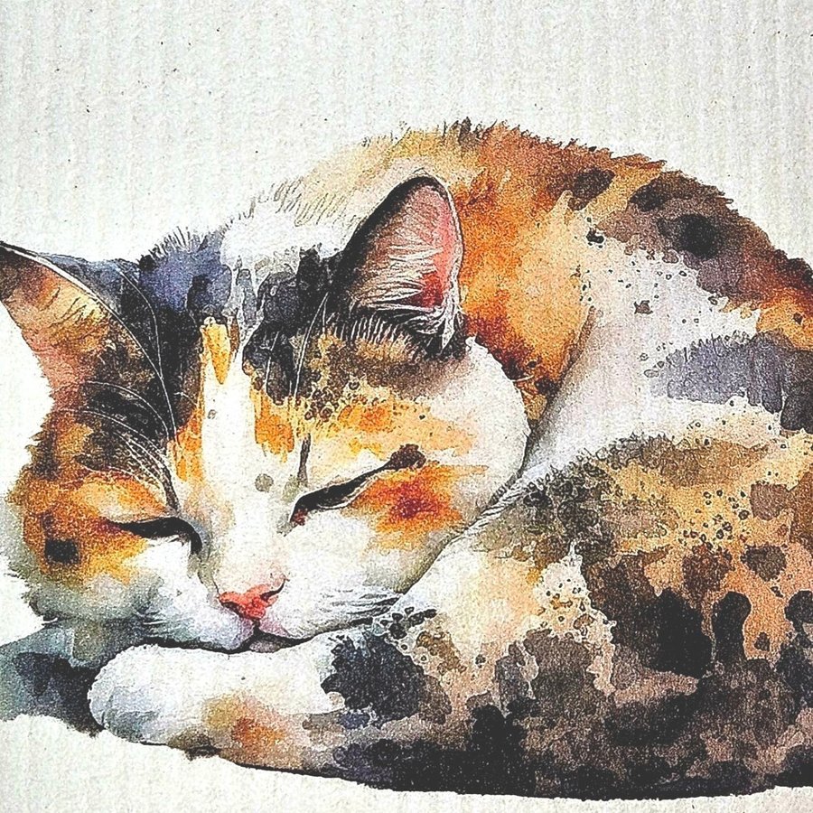 Disktrasa wettex duk med tryck print en sovande katt