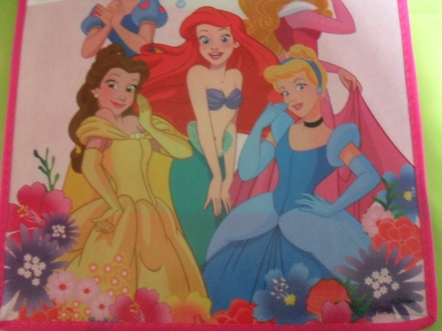 Plastkasse/väska med Disney prinsessor Helt ny Direkt från USA Ovanlig!