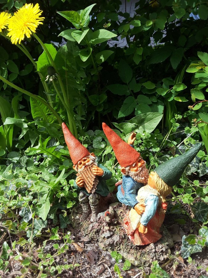 Gnomes Tomtar Rien Poortvliet