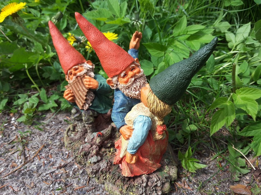 Gnomes Tomtar Rien Poortvliet