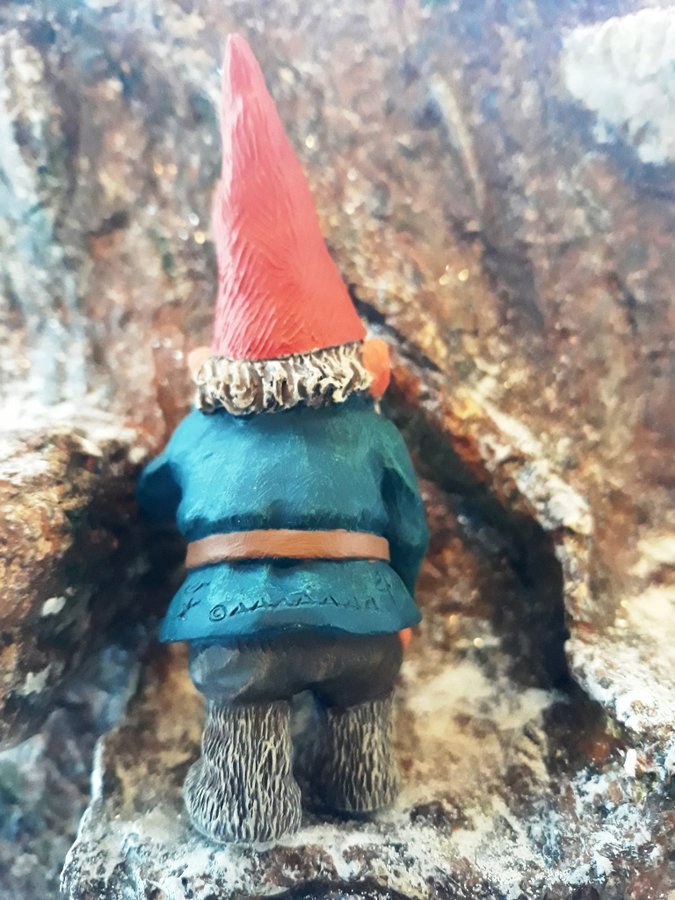 Gnomes Tomtar Rien Poortvliet