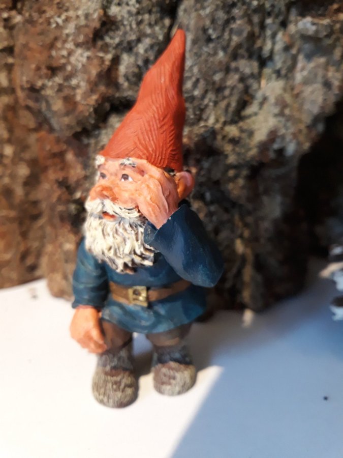 Gnomes Tomtar Rien Poortvliet