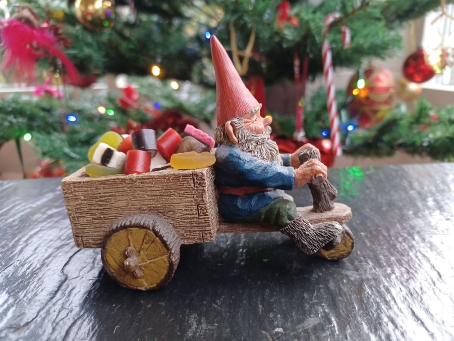 Gnomes Tomtar Rien Poortvliet