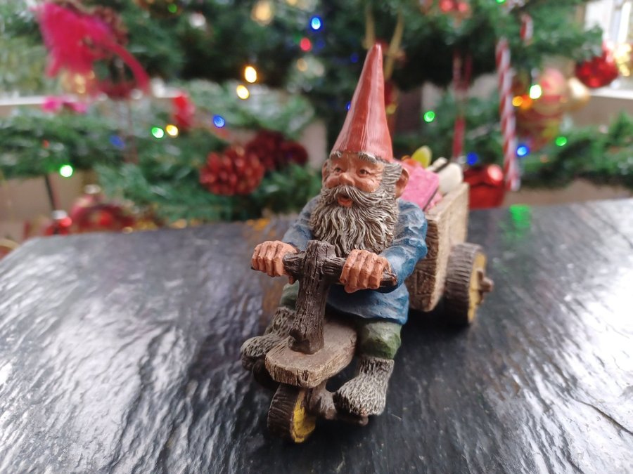 Gnomes Tomtar Rien Poortvliet