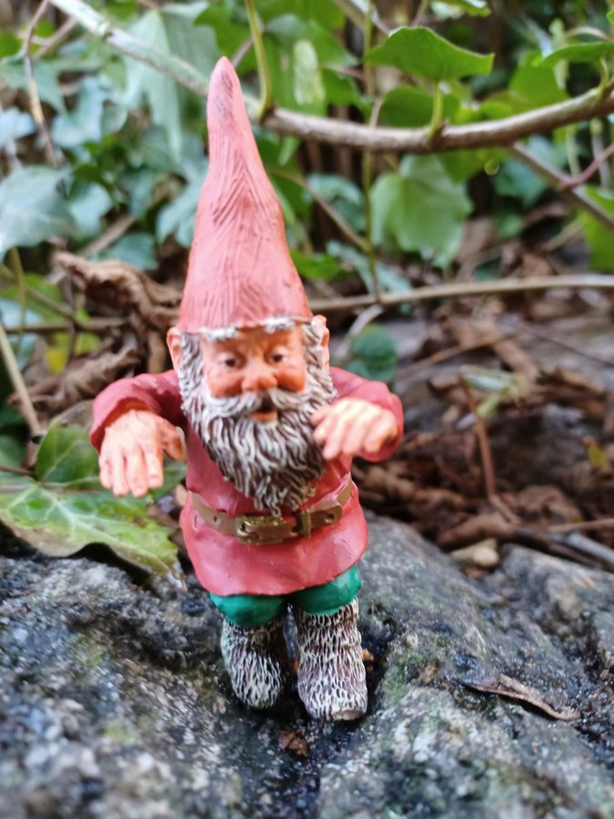 Gnomes Tomtar Rien Poortvliet