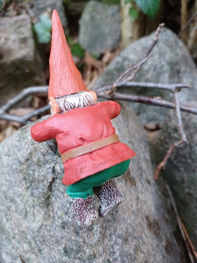 Gnomes Tomtar Rien Poortvliet