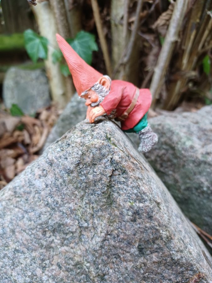 Gnomes Tomtar Rien Poortvliet