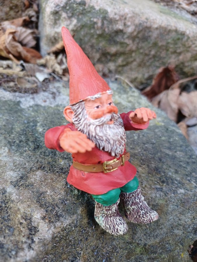 Gnomes Tomtar Rien Poortvliet