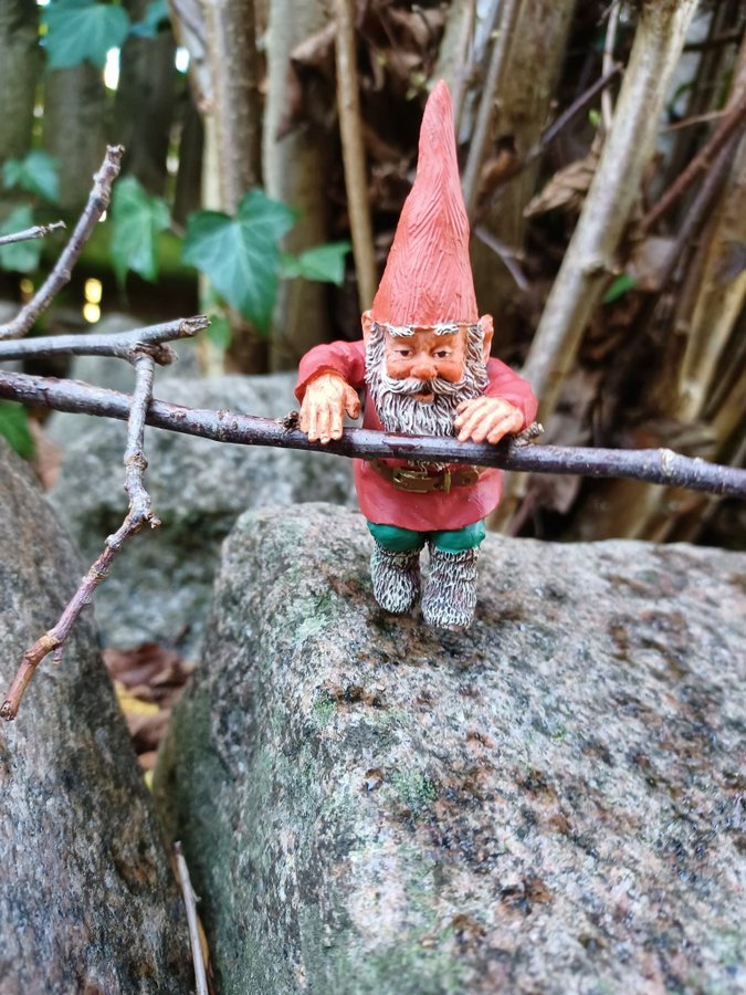 Gnomes Tomtar Rien Poortvliet