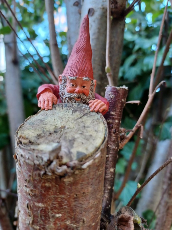 Gnomes Tomtar Rien Poortvliet