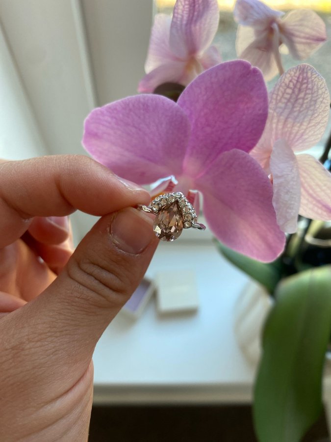 Lily And Rose Grace Ring – Vintage Rose