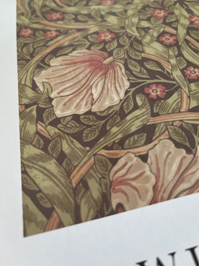 Poster A3 William Morris ”Pimpernel”