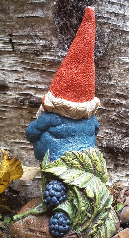 Gnomes Tomtar Rien Poortvliet