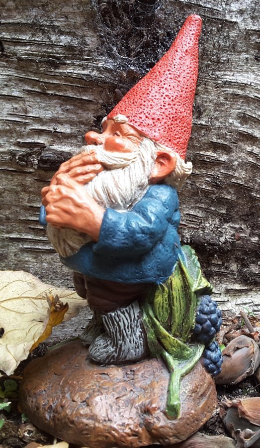 Gnomes Tomtar Rien Poortvliet