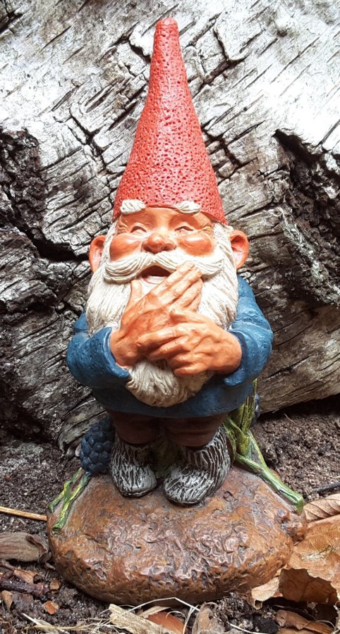 Gnomes Tomtar Rien Poortvliet