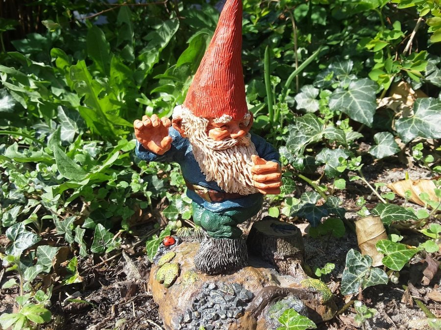 Gnomes Tomtar Rien Poortvliet