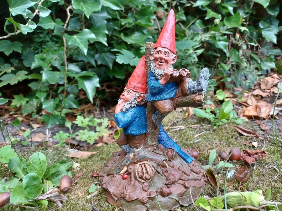 Gnomes Tomtar Tom Clark