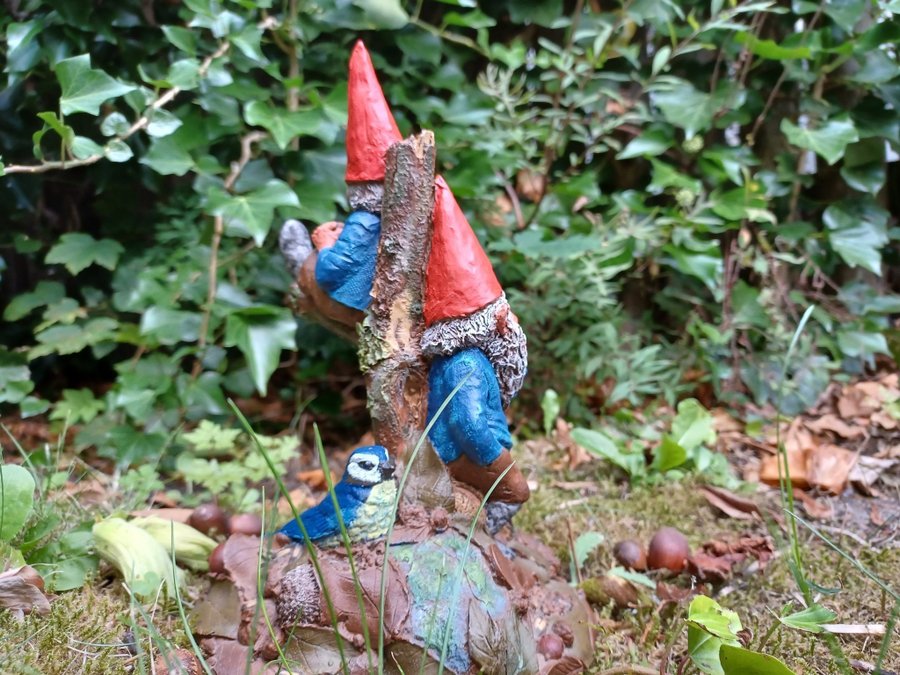 Gnomes Tomtar Tom Clark