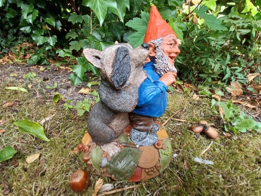 Gnomes Tomtar Tom Clark