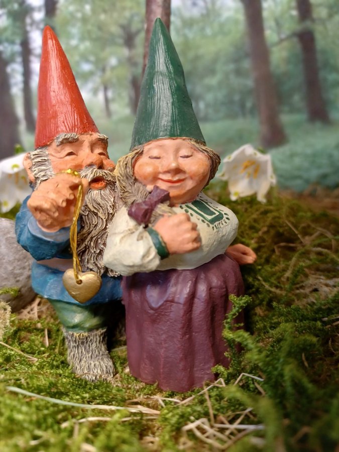 Gnomes Tomtar Rien Poortvliet